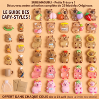 coffret collection figurine