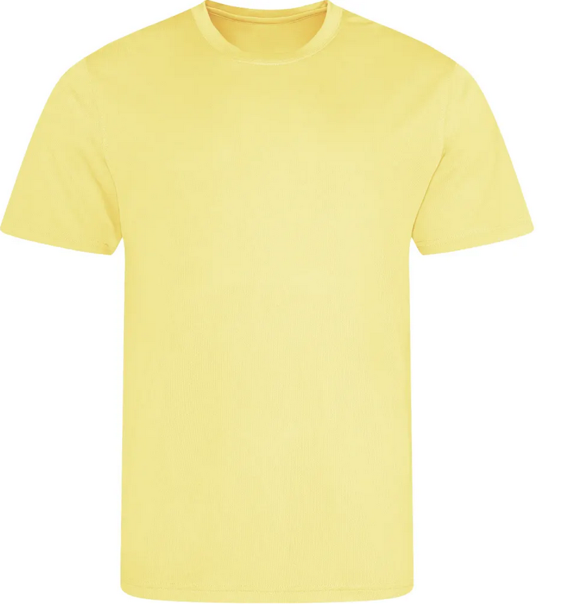 t shirt couleur  lot de 10