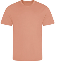 t shirt couleur  lot de 10